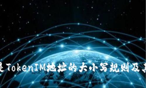 什么是TokenIM地址的大小写规则及其影响