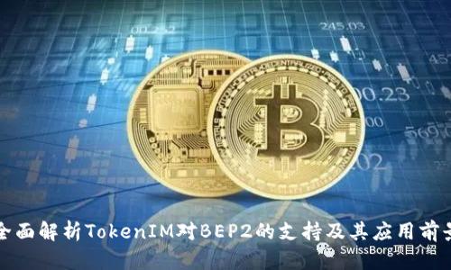 全面解析TokenIM对BEP2的支持及其应用前景
