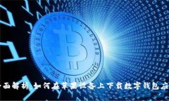全面解析：如何在苹果设