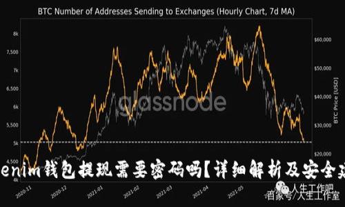 Tokenim钱包提现需要密码吗？详细解析及安全建议