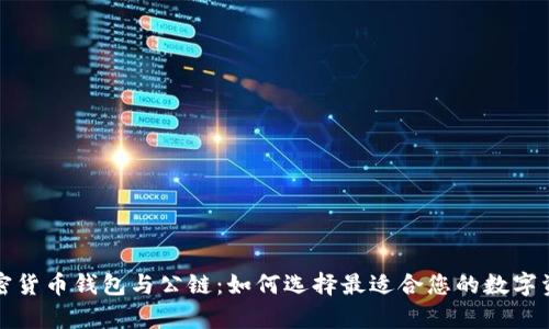 全面解析加密货币钱包与公链：如何选择最适合您的数字资产管理方式