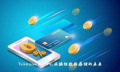 Tokenim与IPFS：区块链数据存