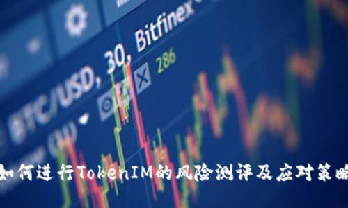 如何进行TokenIM的风险测评及应对策略