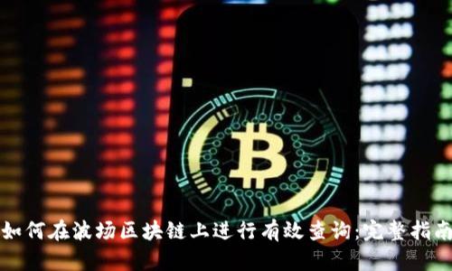 如何在波场区块链上进行有效查询：完整指南