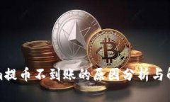 Tokenim提币不到账的原因分