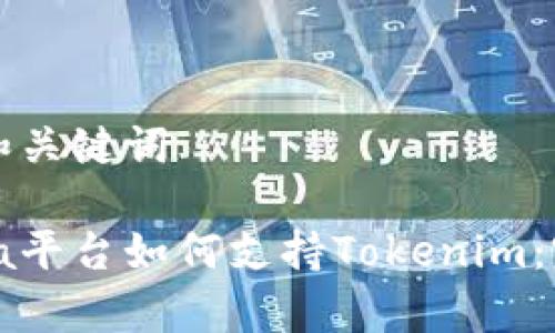 提及的和关键词

OpenSea平台如何支持Tokenim：完整指南
