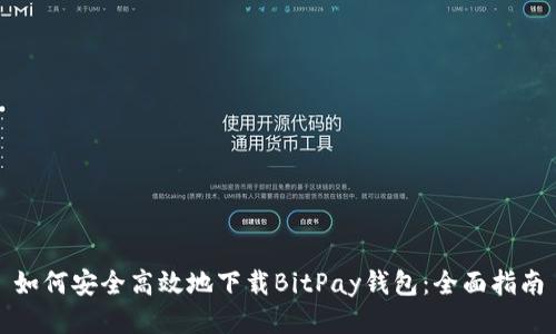 如何安全高效地下载BitPay钱包：全面指南