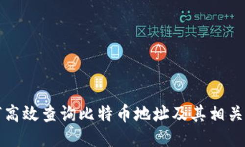如何高效查询比特币地址及其相关信息