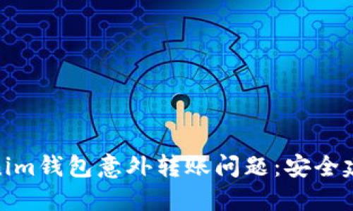 如何处理Tokenim钱包意外转账问题：安全建议与防范措施