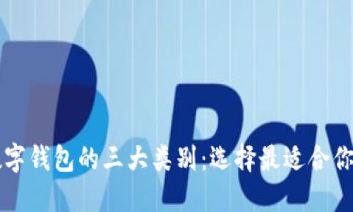 深入探讨数字钱包的三大类别：选择最适合你的支付方式