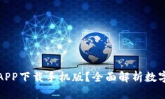 如何选择最佳数字钱包A
