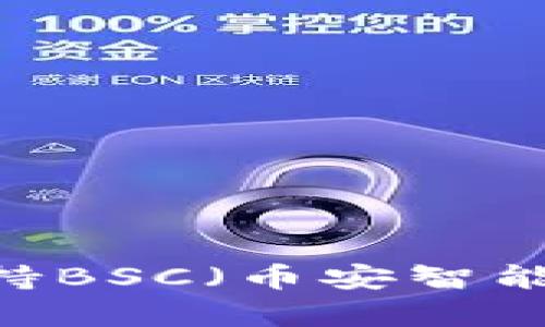 为什么Tokenim钱包不支持BSC（币安智能链）？深度解析及替代方案