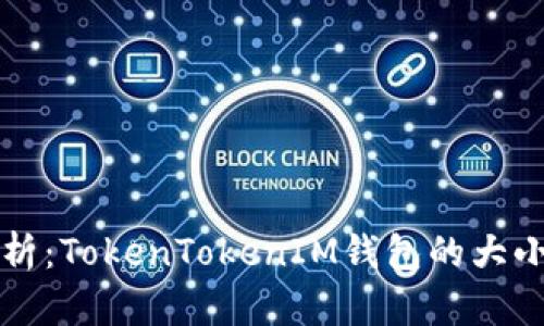 深入解析：TokenTokenIM钱包的大小与功能