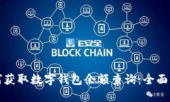 如何获取数字钱包余额查询：全面指南