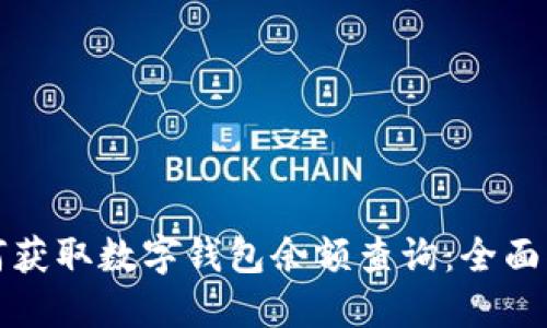 如何获取数字钱包余额查询：全面指南