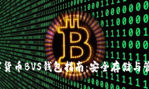 2023年最佳数字货币BVS钱包指南：安全存储与管理你的数字资产