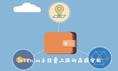 Tokenim手续费上涨的原因分析