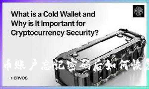 派币账户忘记密码后如何恢复？