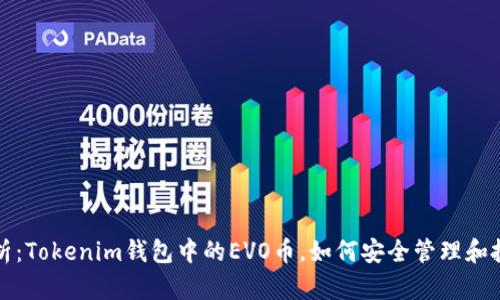 深度解析：Tokenim钱包中的EVO币，如何安全管理和投资策略