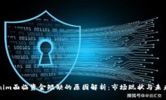 Tokenim面临资金短缺的原因解析：市场现状与未来