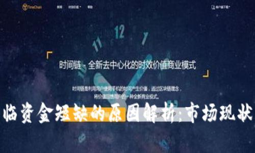 Tokenim面临资金短缺的原因解析：市场现状与未来展望