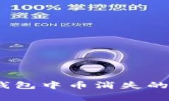 如何解决TokenTokenIM钱包中币消失的问题：详细指