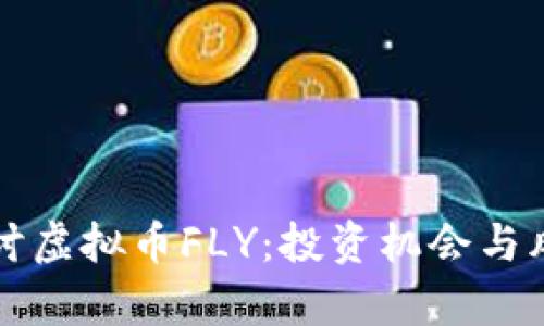 深入探讨虚拟币FLY：投资机会与风险分析