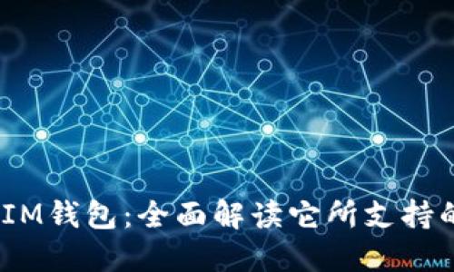 TokenTokenIM钱包：全面解读它所支持的区块链技术