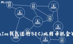 如何使用TokenIm钱包进行BEC（比特币现金）交易：