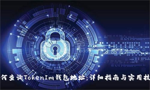 如何查询TokenIm钱包地址：详细指南与实用技巧