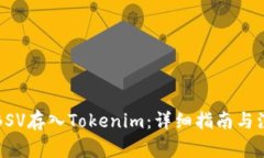 如何将BSV存入Tokenim：详细指南与注意事项