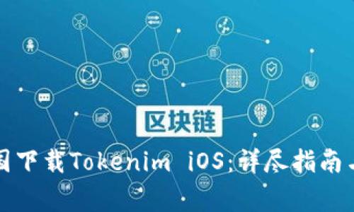 如何在中国下载Tokenim iOS：详尽指南与注意事项