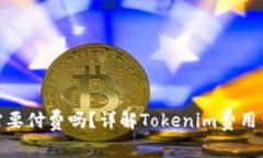 下载Tokenim需要付费吗？详解Tokenim费用结构与使用