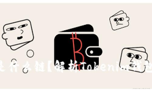 Tokenim钱包是什么链？解析Tokenim钱包的特性与优势