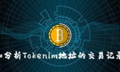 如何查询和分析Tokenim地址的交易记录：全面指南