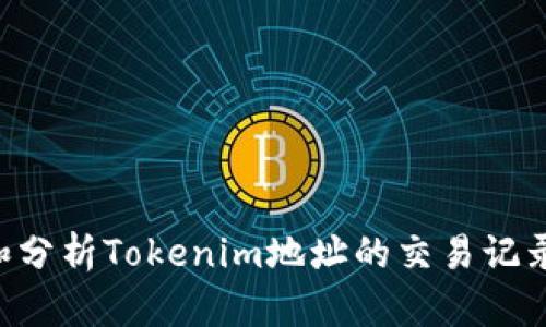 如何查询和分析Tokenim地址的交易记录：全面指南