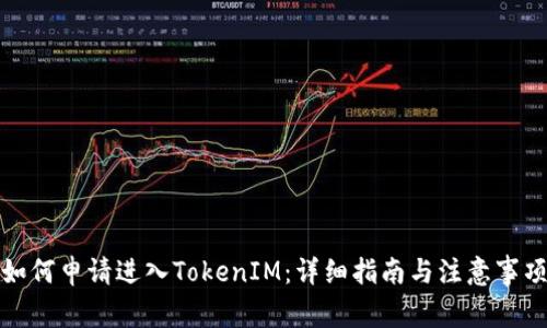 如何申请进入TokenIM：详细指南与注意事项