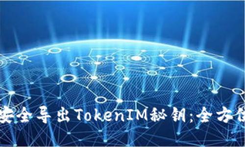 如何安全导出TokenIM秘钥：全方位指南