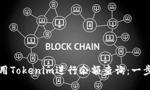如何使用Tokenim进行余额查询：一步步指南