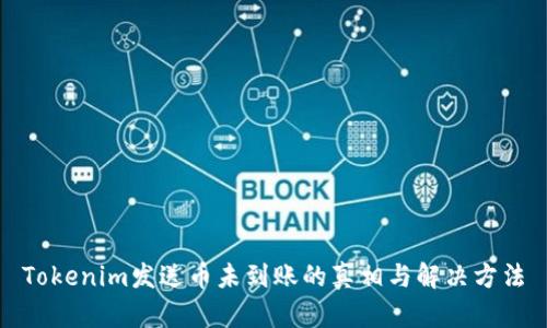 Tokenim发送币未到账的真相与解决方法