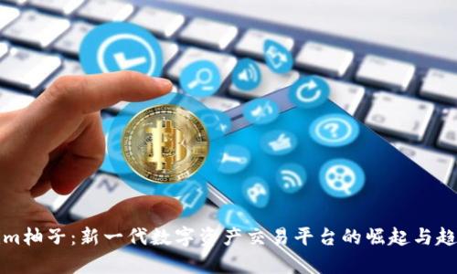 Tokenim柚子：新一代数字资产交易平台的崛起与趋势分析