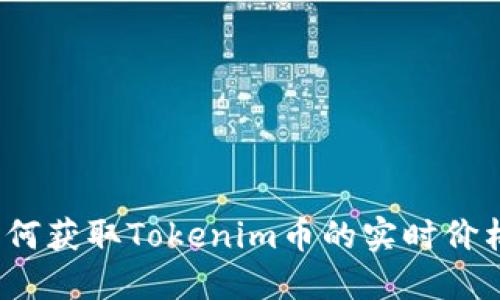 如何获取Tokenim币的实时价格？