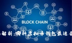 全面解析：哪种虚拟币钱包最适合你？