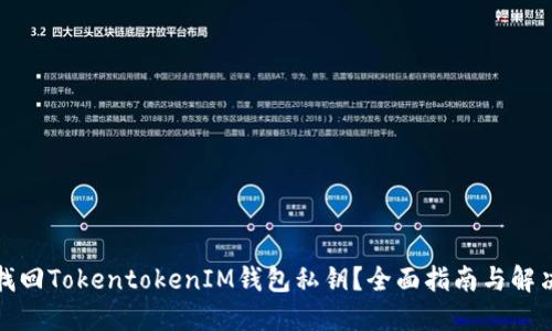 如何找回TokentokenIM钱包私钥？全面指南与解决方案