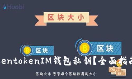 如何找回TokentokenIM钱包私钥？全面指南与解决方案