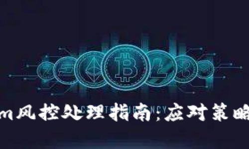 Tokenim风控处理指南：应对策略与建议
