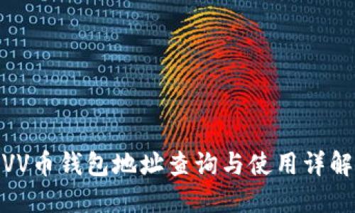 VV币钱包地址查询与使用详解