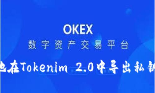 如何安全地在Tokenim 2.0中导出私钥：全面指南