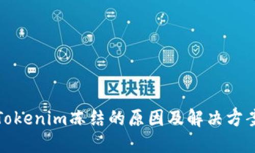 Tokenim冻结的原因及解决方案