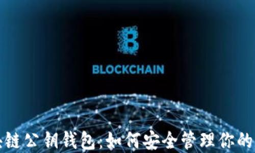 
揭秘区块链公钥钱包：如何安全管理你的数字资产